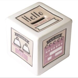 Salisbury Birth Record Piggy Bank in Pink
